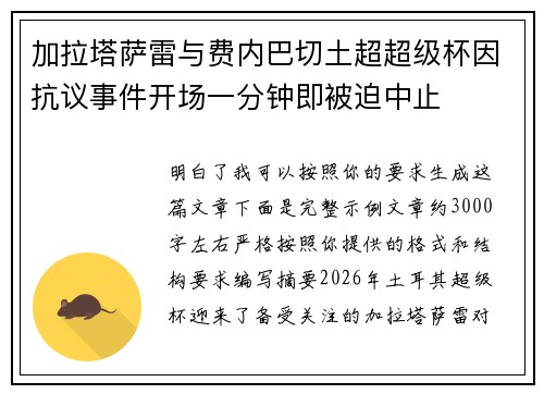 加拉塔萨雷与费内巴切土超超级杯因抗议事件开场一分钟即被迫中止